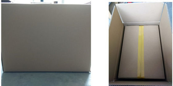 Table Top 31kg 1g Electronic Balance Scale